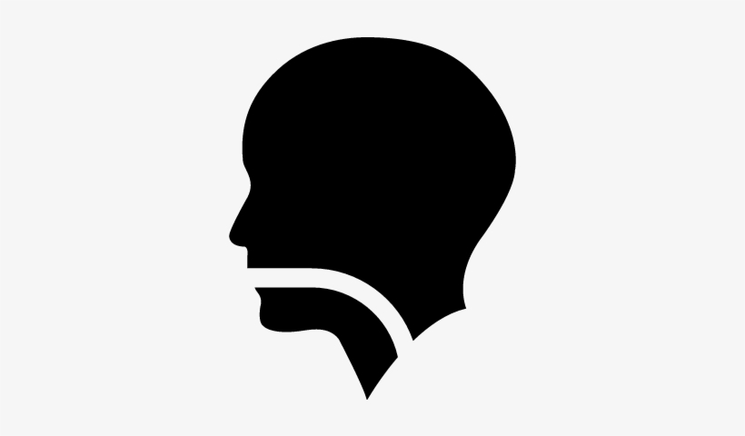 Human Head Silhouette With A Line In Mouth Pharynx - Throat Icon Transparent Background, transparent png