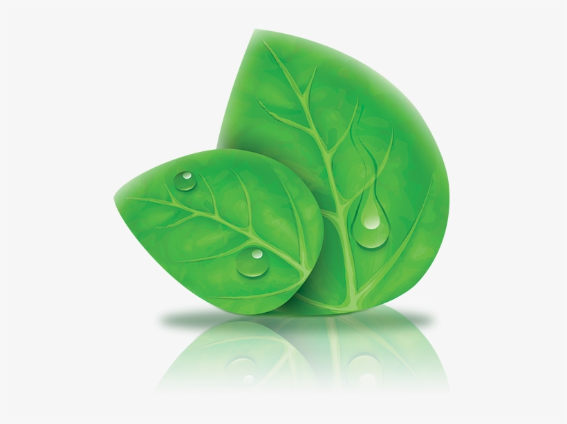 Sustainable Development Is Defined As - Smile Ykk Green Leaves Cotton Linen Square Throw Pillow, transparent png