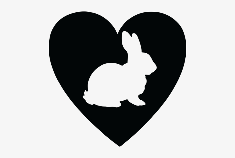 Eco - Bunny On Board Sticker, transparent png