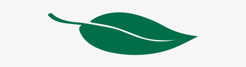Sustainability Leaf, transparent png
