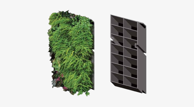 Our Modular Kits Shown Both Fully Grown, And Empty - Modular Living Walls, transparent png