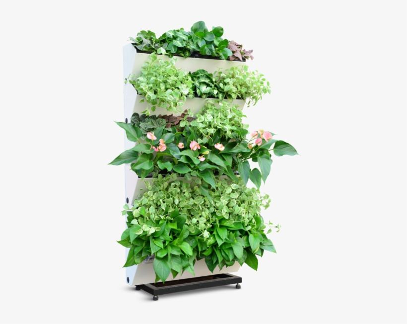 Easy Clip System Converts Your Empty Wall Into A Garden - Model, transparent png