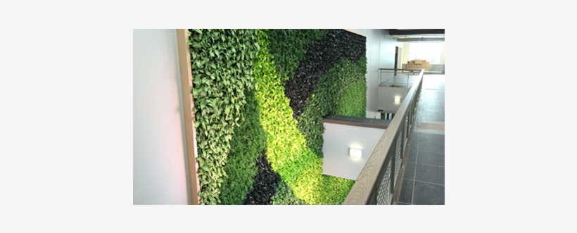 Wall, transparent png