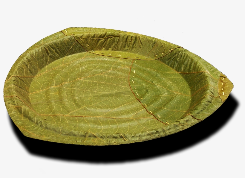 German Company Making Plates Out Of Leaves That Biodegrade - Engångstallrik Av Löv, Orion Medium, 15 Stycken - Leaf, transparent png