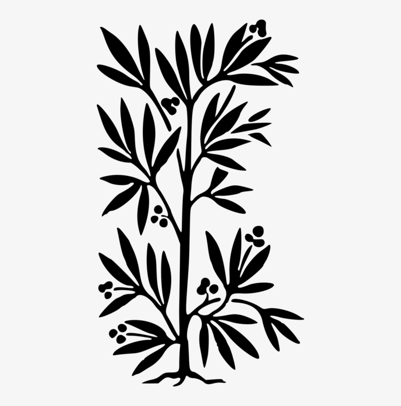 Silhouette Line Art Flower Leaf Plant Stem - Clip Art, transparent png