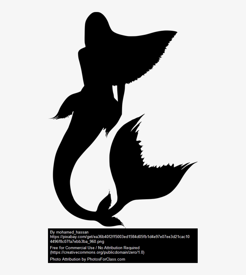 With A Voice That Could Entrance Sailors To Jump To - Cauda De Sereia Desenho, transparent png