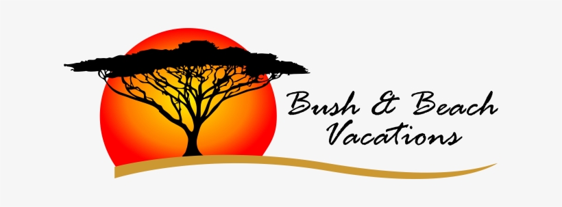 Bush & Beach Vacations Accommodation In Marloth Park - Swahili New Testament Bible: Outreach Edition [book], transparent png