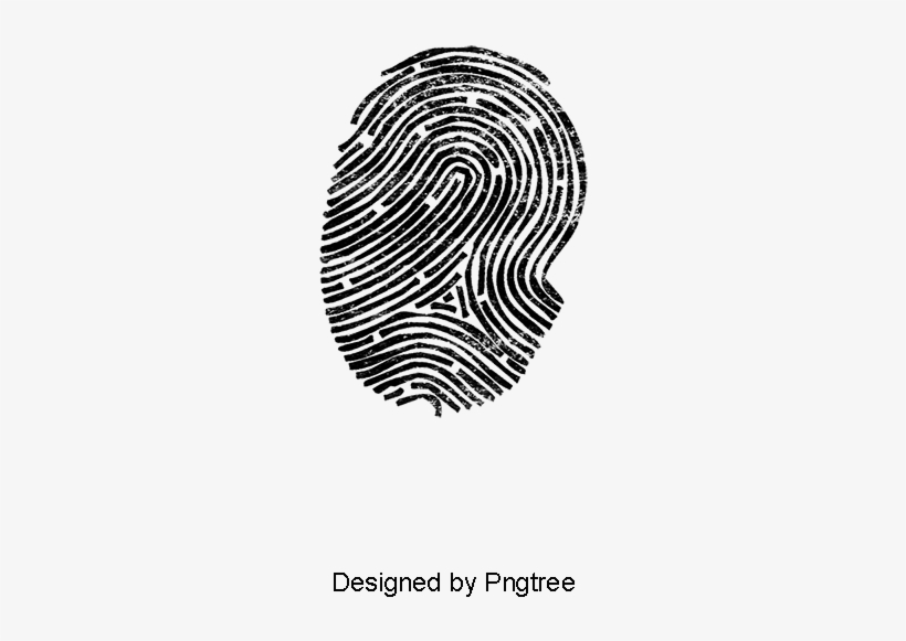 Fingerprint Creative, Fingerprint, Finger, Lines Png - Portable Network Graphics, transparent png
