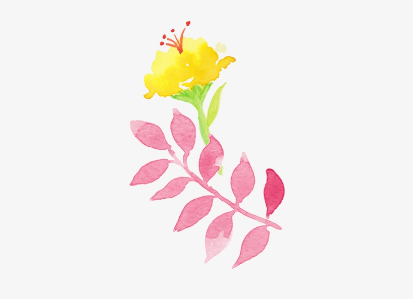 Under Left Flowers - Common Peony, transparent png