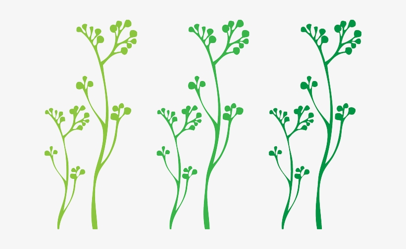 Flourish, Wedding, Plants, Summer, Plant, Stems, Stem - Tallos De Hojas Png, transparent png