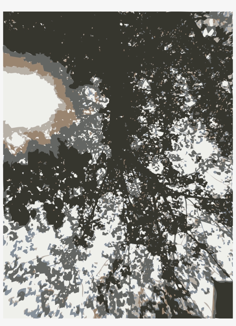 This Free Icons Png Design Of Trees And Sun Canopy, transparent png
