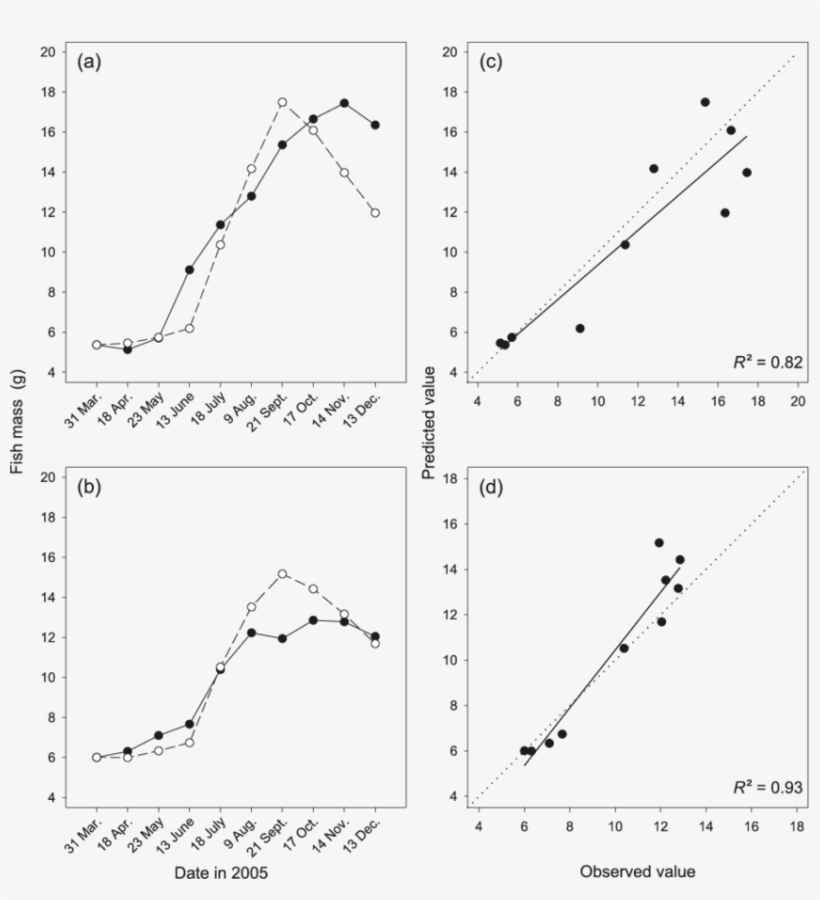Fish Mass Of (a) Vendace And (b) Cisco Observed (filled - Diagram, transparent png