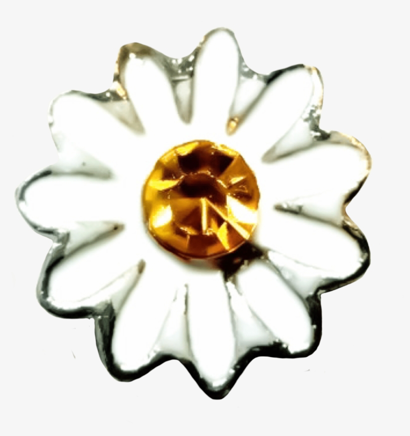 White Daisy Photo - Cake, transparent png