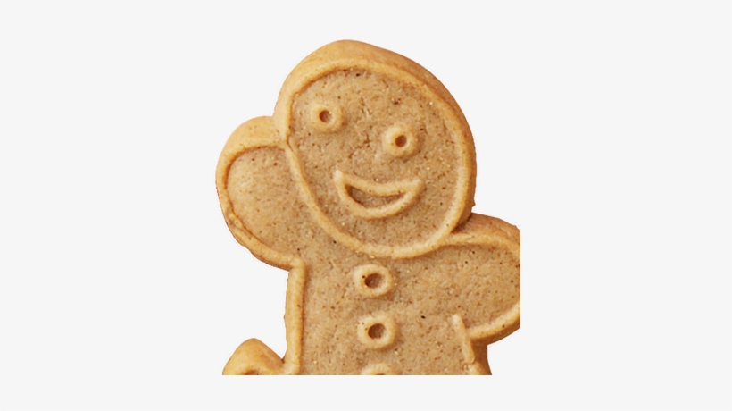 Seasonal Cookie Background - Cookie, transparent png