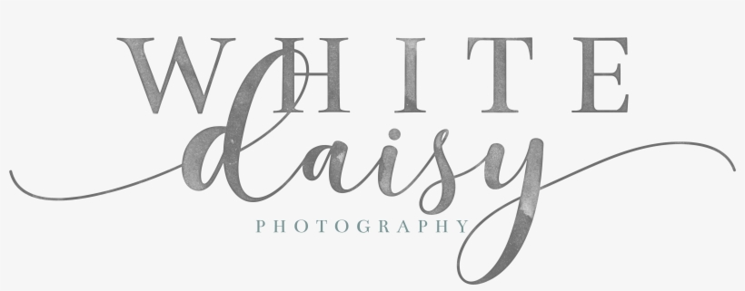 White Daisy Photography - Calligraphy, transparent png