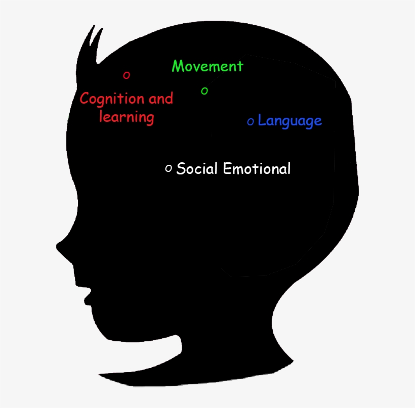 Toddler Brain Development Stage 18-24 Months - Cognitive Neurological And Brain Development, transparent png