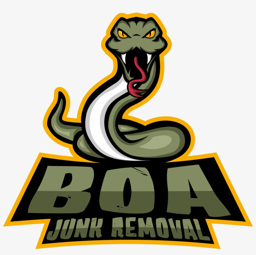Boa - - Illustration, transparent png