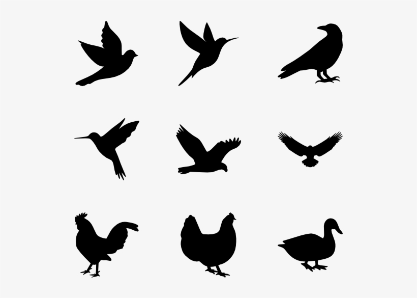 Birds Silhouette - Vector Graphics, transparent png