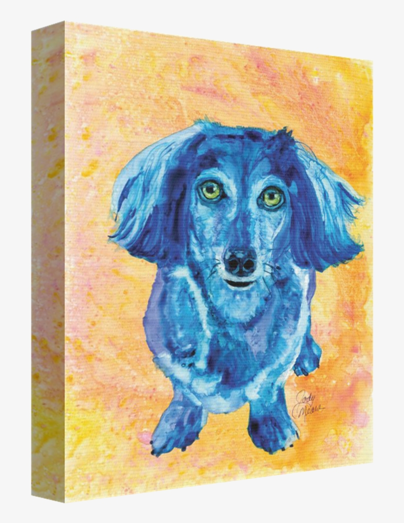 Cleo Dachshund Stretched Canvas - Rainbow Card Company Sc132cl 30cm X 41cm . Stretched, transparent png