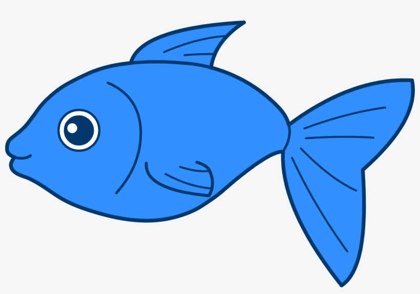 Fish Clipart - Fish Clipart Png, transparent png