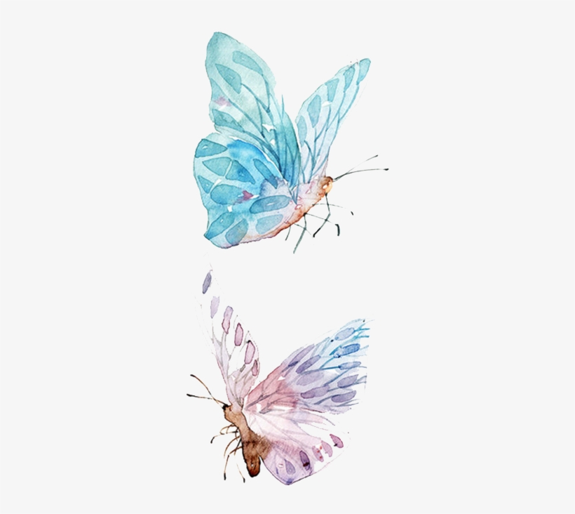 Paper Watercolor Painting Drawing, transparent png