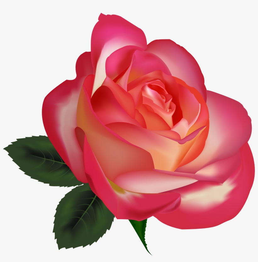 Beautiful Rose Png Clipart Image - Rosas O Flores Png, transparent png