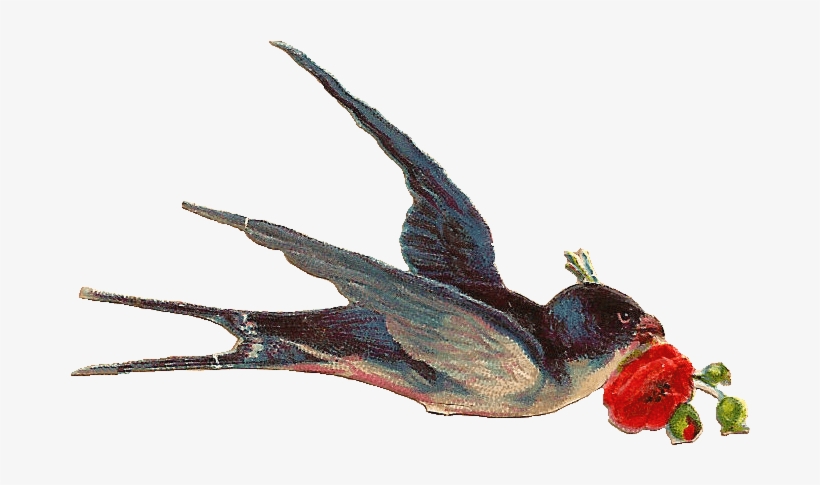 Vintage Bird - Vintage Png, transparent png