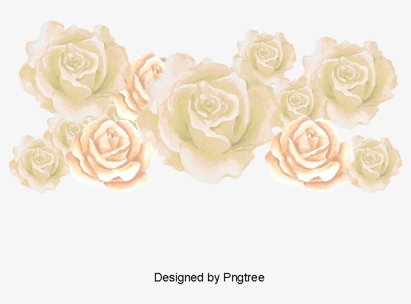 White Roses, Vector Rose Sea, Sea Rose Creative, Flowers - Portable Network Graphics, transparent png