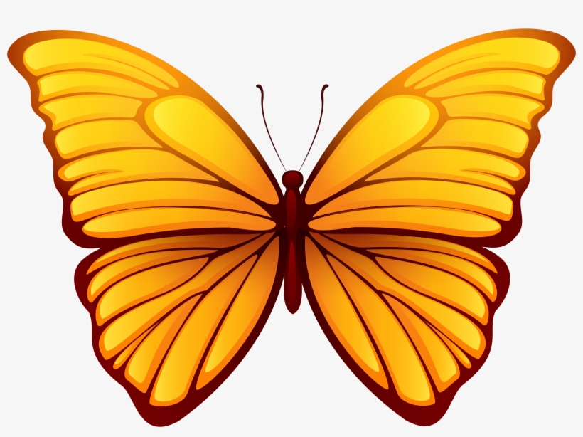 Butterfly Png, transparent png
