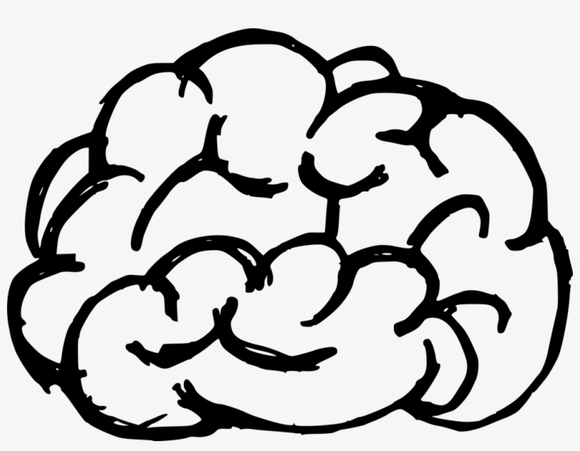 Png File Size - Brain Transparent, transparent png