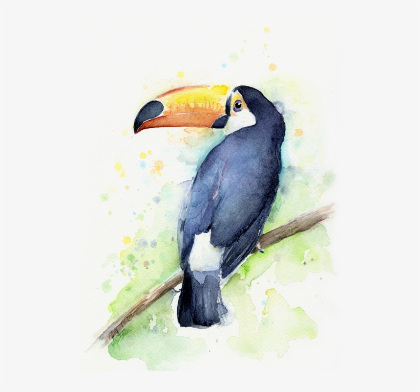Related Image Watercolor Bird, Watercolor Artwork, - Toucan Watercolor, transparent png