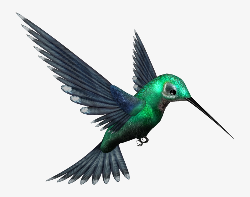 Bird Png - Picsart All Png Hd, transparent png