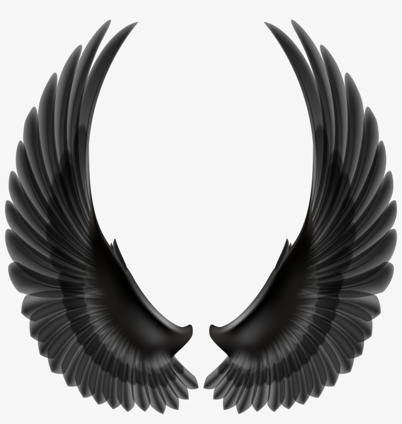 Black Wings Transparent Background, transparent png