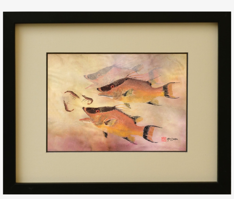 8 X 10 Hog Fish - Painting, transparent png