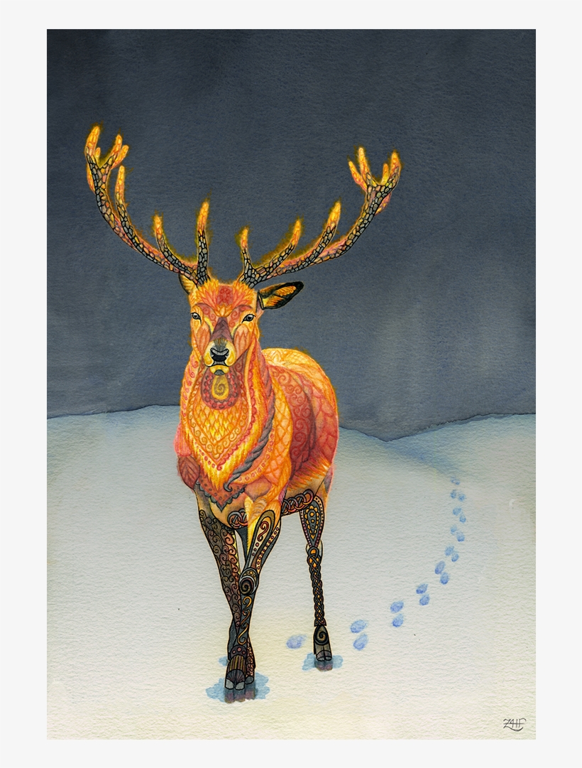 You Can Tell An Elusive Fire Deer Has Been Around Because - Watercolor Painting, transparent png