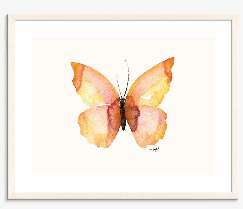 142kms Pfww Watercolor Butterfly 8 - Gerahmtes Leinwandbild Schmetterling 8 Artist Lane, transparent png