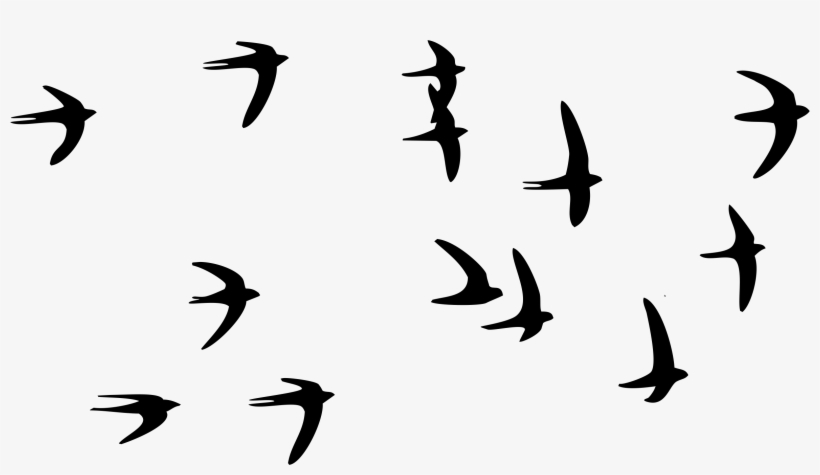 Pigeon Flying In The Sky Png - Birds Flying In The Sky Png, transparent png