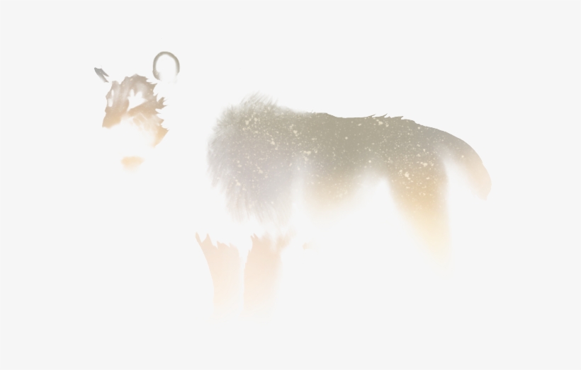 Snow, transparent png