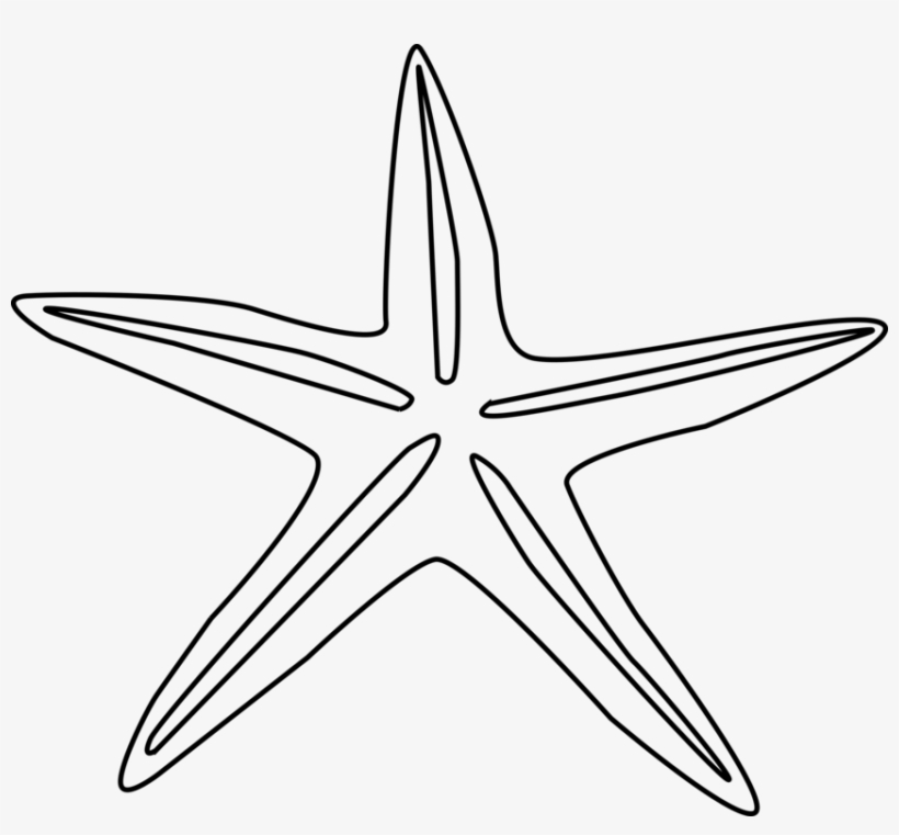 Drawing Echinoderm Painting Free Commercial - Starfish Outline, transparent png