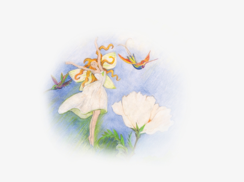 A Timeless Fairytale For Children For All Ages - Lily Family, transparent png