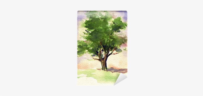 A Great Watercolor Painting Of A Tree Wall Mural • - Watercolor Tree, transparent png