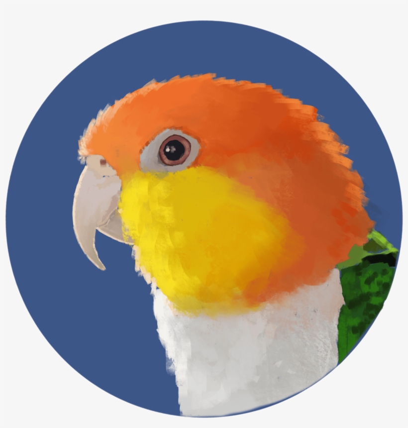 Simple Style $35 A Little More Detailed Than The Basic - Fish, transparent png