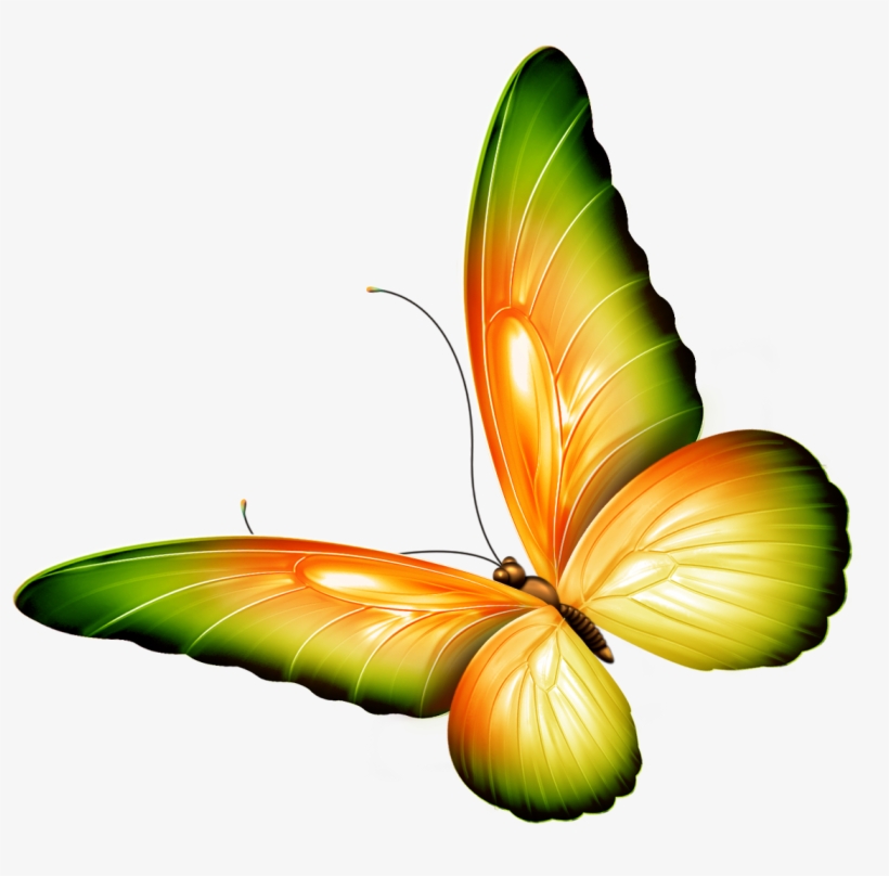 Deviantart Logo Clipart Butterfly Png - Clipart Flowers And Butterflies Border, transparent png