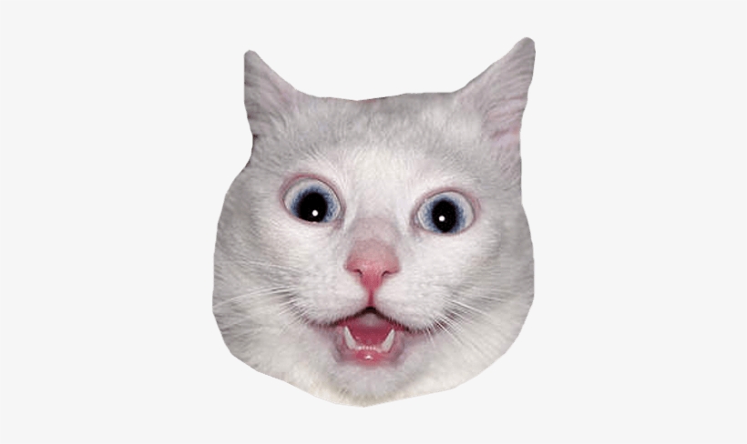Download - Funny Energy Drink Memes, transparent png