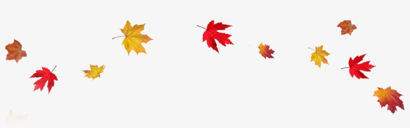 Falling Leaves Transparent Transparent Png Pictures - Autumn Leaves Transparent, transparent png