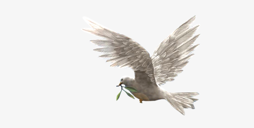 Dove Of Peace - Potala Palace, transparent png