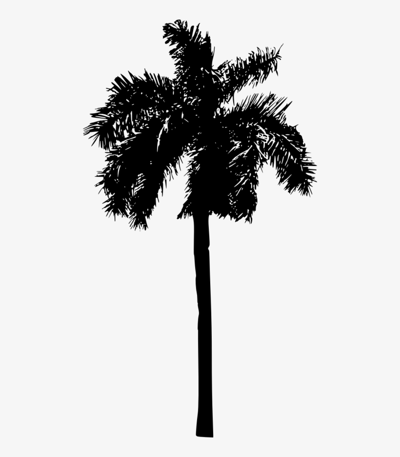 Free Png Palm Tree Png Images Transparent - Palm Tree Silhouette Png, transparent png