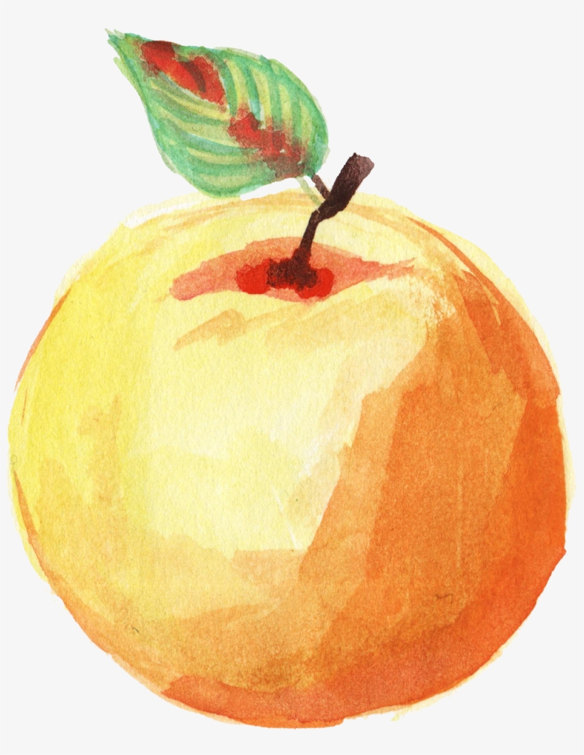 Free Download - Watercolor Orange Fruit Png, transparent png