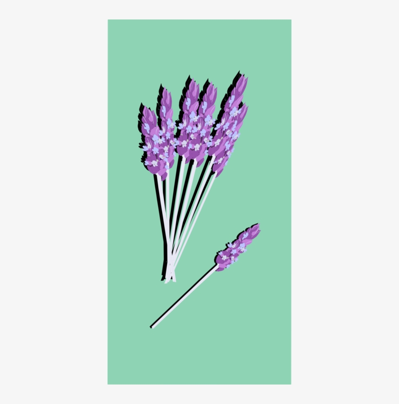 English Lavender Computer Icons Watercolor Painting - Make Your Own Flavored Sugar Cubes - Epub, transparent png