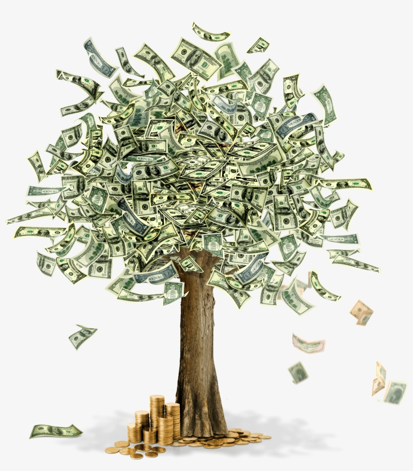Download Money Tree Png Image Hq Png Image - Manual Básico De Matemáticas Financieras, transparent png